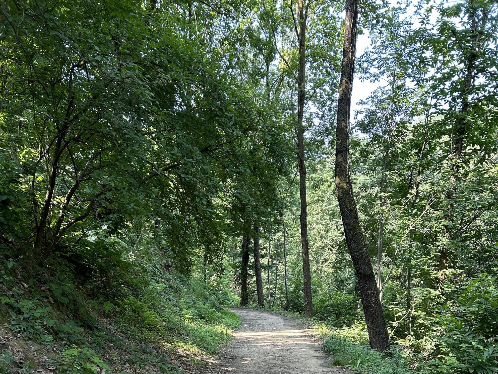Il Giardino Di Berbech Citta Alta - Castagno Apartment Бергамо Екстериор снимка