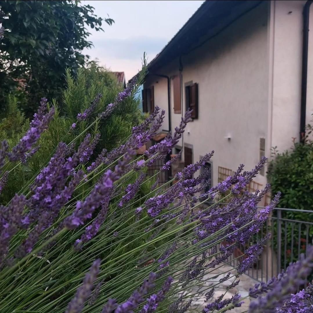 Il Giardino Di Berbech Citta Alta - Castagno Apartment Бергамо Екстериор снимка